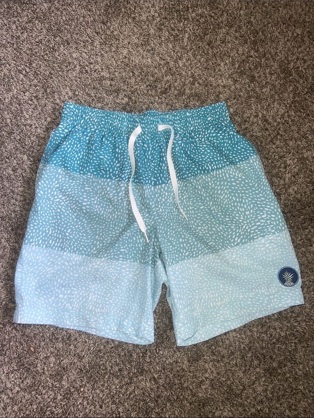 Chubbies Blue Stripe with Spots Swim Trunks